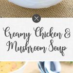 Creamy Chicken and Mushroom Soup
