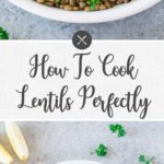how to cook lentils - long pin