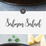 best salmon salad recipe - long pin