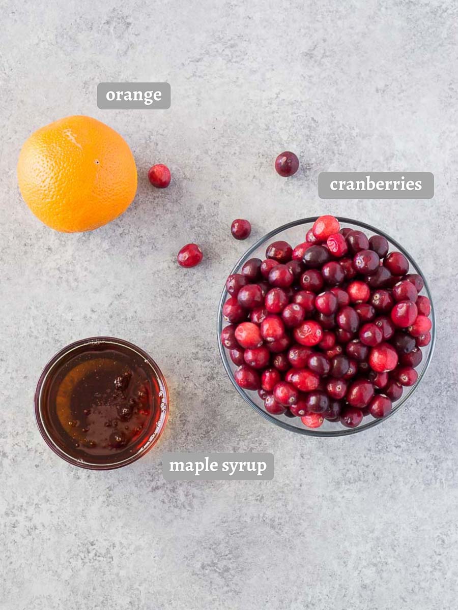 ingredients for making cranberry sauce