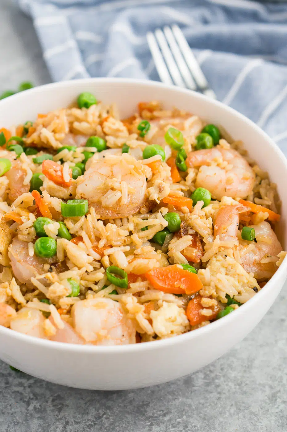 A vibrant bowl of shrimp fried rice, garnished with fresh green onions, showcasing its rich colors and appealing texture.