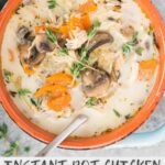 instant pot chicken wild rice soup - pin