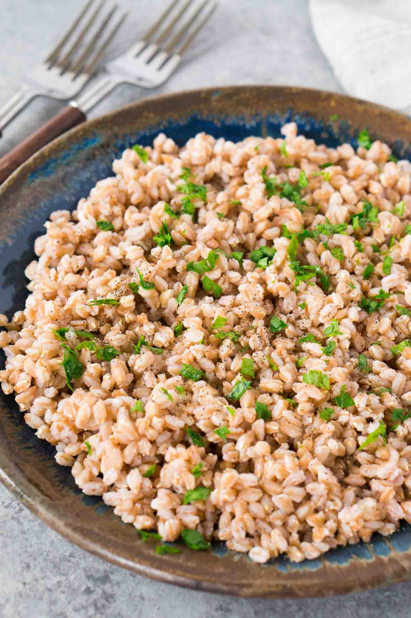 cooked farro served on a plate