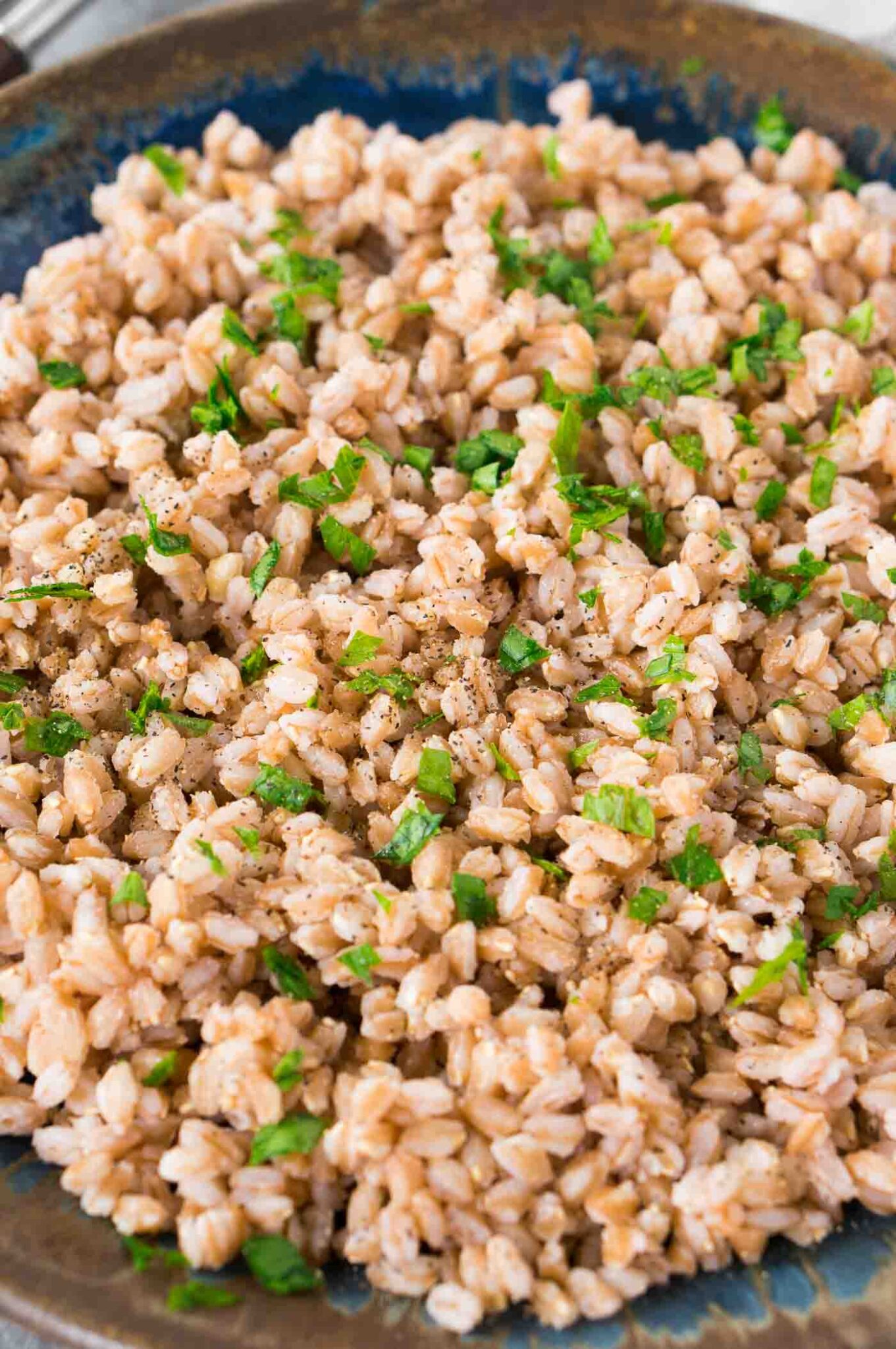 close up image of cooked farro on a plate