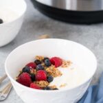bowl of homemade yogurt made in the instant pot