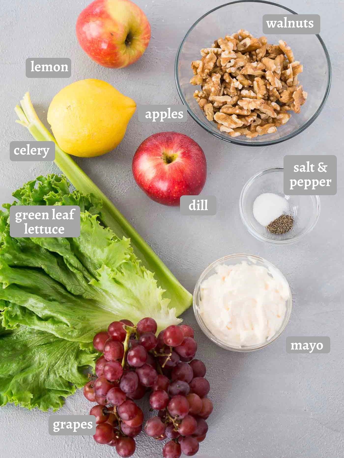 the ingredients you need for waldorf salad
