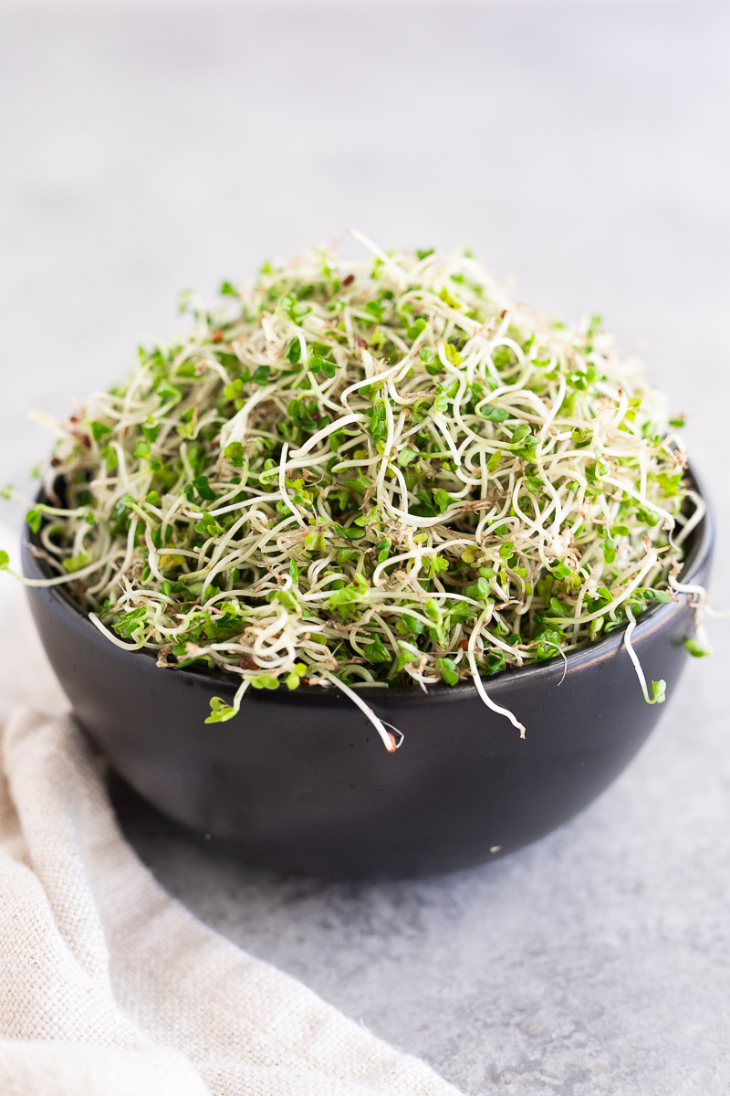 broccoli sprouts grown at home