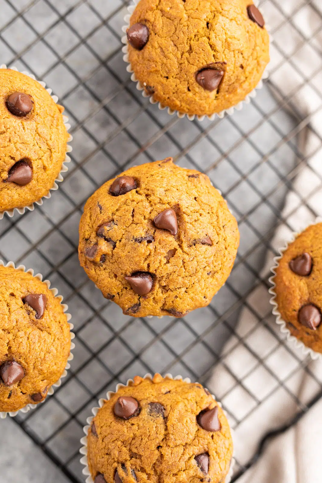 healthy Pumpkin Muffins with Chocolate Chips