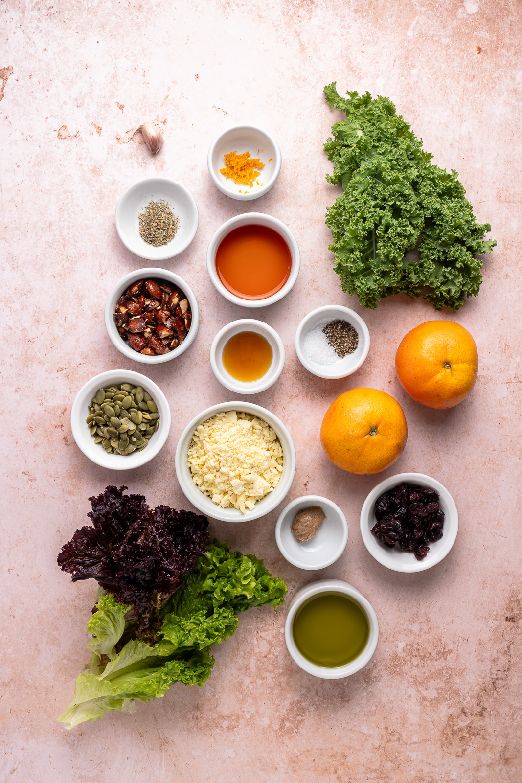 ingredients for citrus salad with red wine vinaigrette